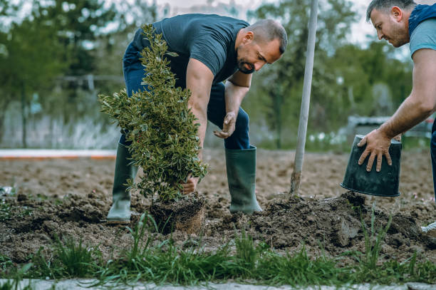 Best Tree Pruning Services  in Coweta, OK